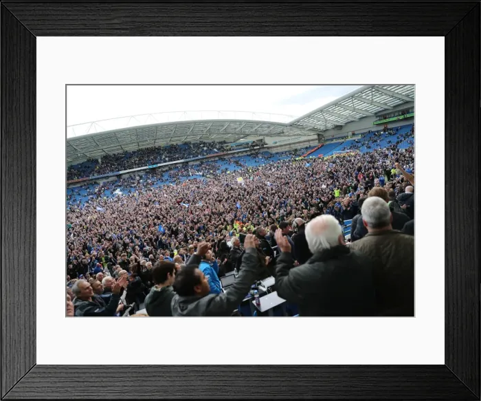 Framed Print : Brighton and Hove Albion FC: Euphoric Fans Celebrate Promotion to Premier League at American Express Community Stadium (17th April 2017 vs Wigan Athletic) Framed Print : Brighton and Hove Albion FC: Euphoric Fans Celebrate Promotion to Premier League at American Express Community Stadium (17th April 2017 vs Wigan Athletic)