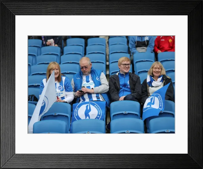 Framed Print : Brighton and Hove Albion FC: Euphoric Fans Celebrate Championship Victory over Wigan Athletic (17th April 2017)