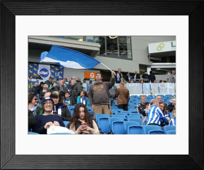Framed Print : Brighton and Hove Albion Fans Celebrate Promotion to Premier League at American Express Community Stadium (17APR17) Framed Print : Brighton and Hove Albion Fans Celebrate Promotion to Premier League at American Express Community Stadium (17APR17)