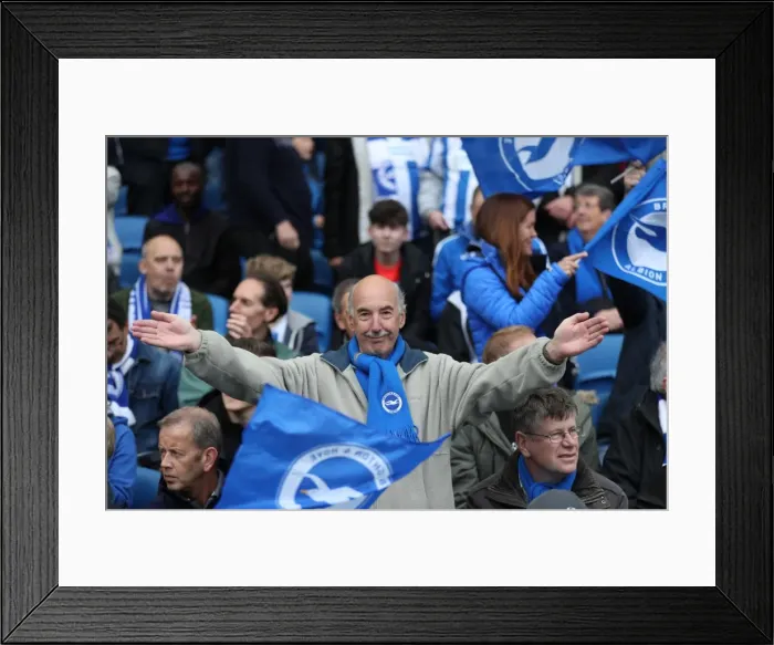 Framed Print : Brighton and Hove Albion FC: Euphoric Fans Celebrate Promotion to Premier League at American Express Community Stadium (17th April 2017 vs Wigan Athletic) Framed Print : Brighton and Hove Albion FC: Euphoric Fans Celebrate Promotion to Premier League at American Express Community Stadium (17th April 2017 vs Wigan Athletic)