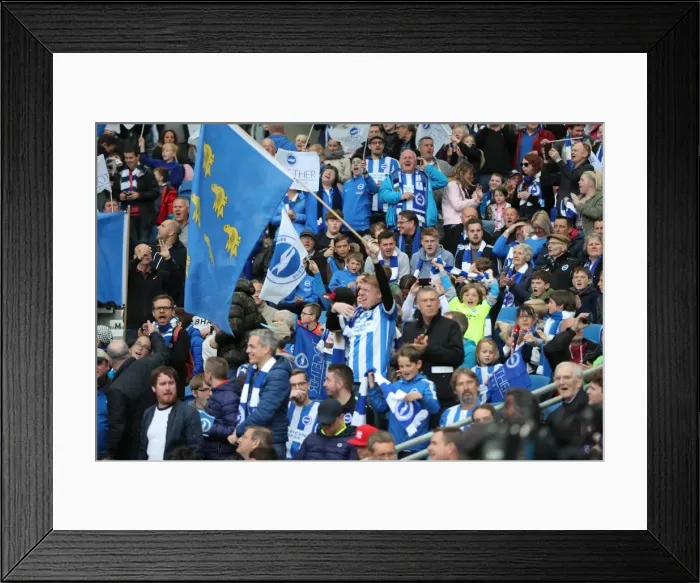 Framed Print : Brighton and Hove Albion FC: Electric Atmosphere Among Fans vs. Wigan Athletic (17APR17) Framed Print : Brighton and Hove Albion FC: Electric Atmosphere Among Fans vs. Wigan Athletic (17APR17)