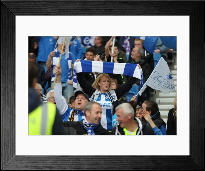 Framed Print : Brighton and Hove Albion Fans Celebrate Promotion to Premier League at American Express Community Stadium (17th April 2017 vs Wigan Athletic) Framed Print : Brighton and Hove Albion Fans Celebrate Promotion to Premier League at American Express Community Stadium (17th April 2017 vs Wigan Athletic)