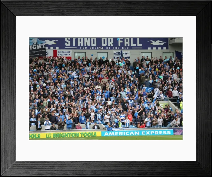 Framed Print : Brighton and Hove Albion Fans Celebrate Promotion to Premier League at American Express Community Stadium (17APR17) Framed Print : Brighton and Hove Albion Fans Celebrate Promotion to Premier League at American Express Community Stadium (17APR17)