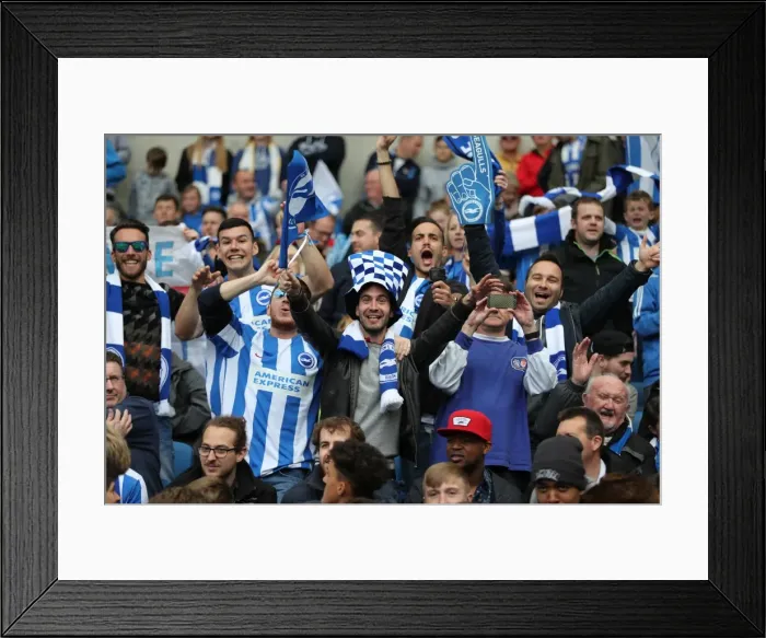 Framed Print : Brighton and Hove Albion Fans in Action during the EFL Sky Bet Championship Match vs. Wigan Athletic (17APR17) Framed Print : Brighton and Hove Albion Fans in Action during the EFL Sky Bet Championship Match vs. Wigan Athletic (17APR17)