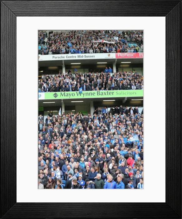 Framed Print : Passionate Brighton and Hove Albion Fans at American Express Community Stadium vs. Wigan Athletic (17APR17) Framed Print : Passionate Brighton and Hove Albion Fans at American Express Community Stadium vs. Wigan Athletic (17APR17)