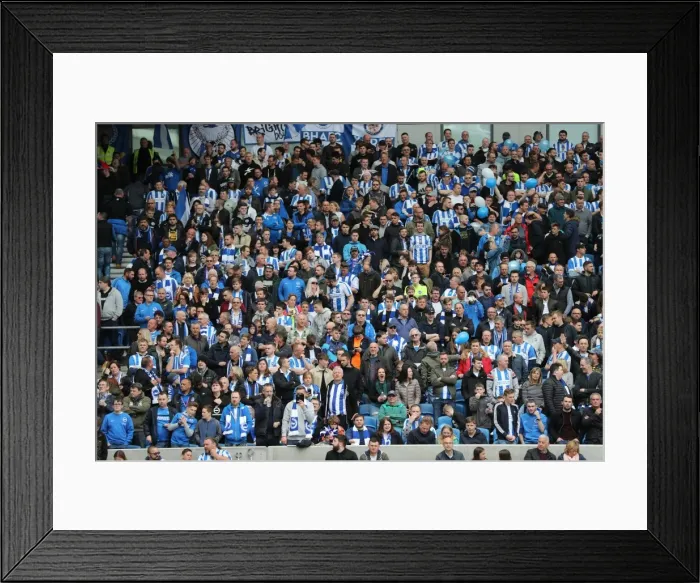 Framed Print : Brighton and Hove Albion Fans Celebrate Championship Victory over Wigan Athletic at American Express Community Stadium (17APR17) Framed Print : Brighton and Hove Albion Fans Celebrate Championship Victory over Wigan Athletic at American Express Community Stadium (17APR17)