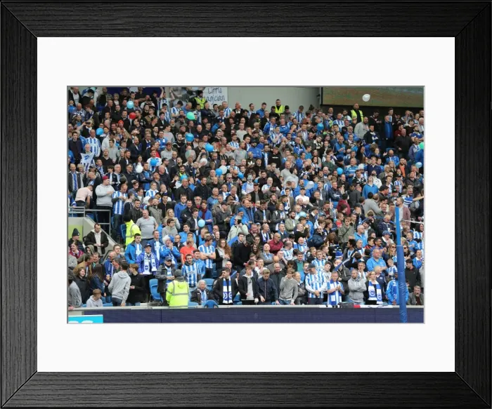 Framed Print : Brighton and Hove Albion FC: Euphoric Fans Celebrate Championship Victory over Wigan Athletic (17APR17) Framed Print : Brighton and Hove Albion FC: Euphoric Fans Celebrate Championship Victory over Wigan Athletic (17APR17)
