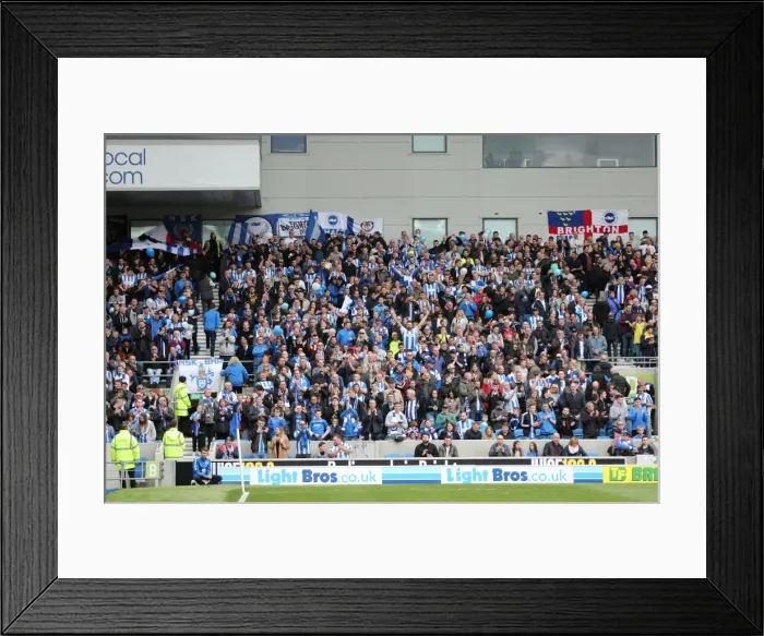 Framed Print : Brighton and Hove Albion FC: Euphoric Fans Celebrate Championship Victory over Wigan Athletic (17th April 2017) Framed Print : Brighton and Hove Albion FC: Euphoric Fans Celebrate Championship Victory over Wigan Athletic (17th April 2017)