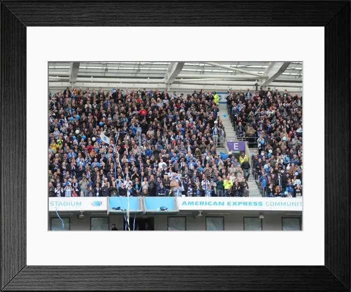 Framed Print : Brighton and Hove Albion Fans in Full Support at the American Express Community Stadium vs. Wigan Athletic (17APR17) Framed Print : Brighton and Hove Albion Fans in Full Support at the American Express Community Stadium vs. Wigan Athletic (17APR17)