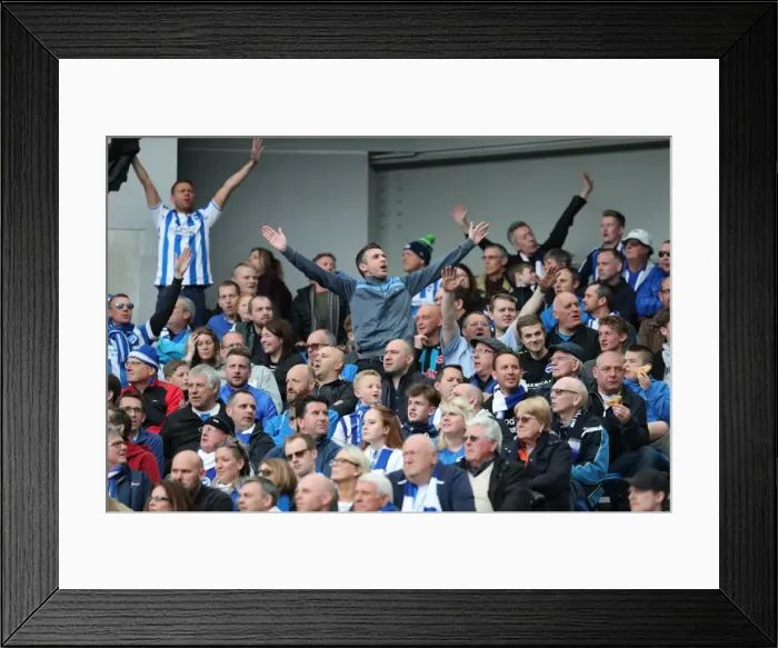 Framed Print : Brighton and Hove Albion Fans Celebrating at American Express Community Stadium during EFL Sky Bet Championship Match vs. Wigan Athletic (17th April 2017) Framed Print : Brighton and Hove Albion Fans Celebrating at American Express Community Stadium during EFL Sky Bet Championship Match vs. Wigan Athletic (17th April 2017)