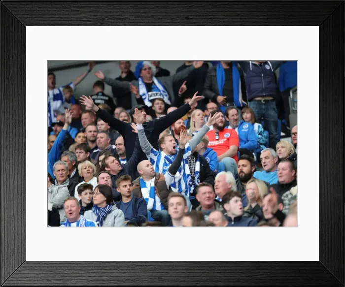 Framed Print : Brighton and Hove Albion Fans Celebrate Promotion to Premier League at American Express Community Stadium (17APR17) Framed Print : Brighton and Hove Albion Fans Celebrate Promotion to Premier League at American Express Community Stadium (17APR17)