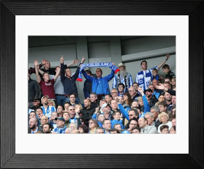 Framed Print : Brighton and Hove Albion Fans Celebrate Championship Victory over Wigan Athletic at American Express Community Stadium (17APR17) Framed Print : Brighton and Hove Albion Fans Celebrate Championship Victory over Wigan Athletic at American Express Community Stadium (17APR17)