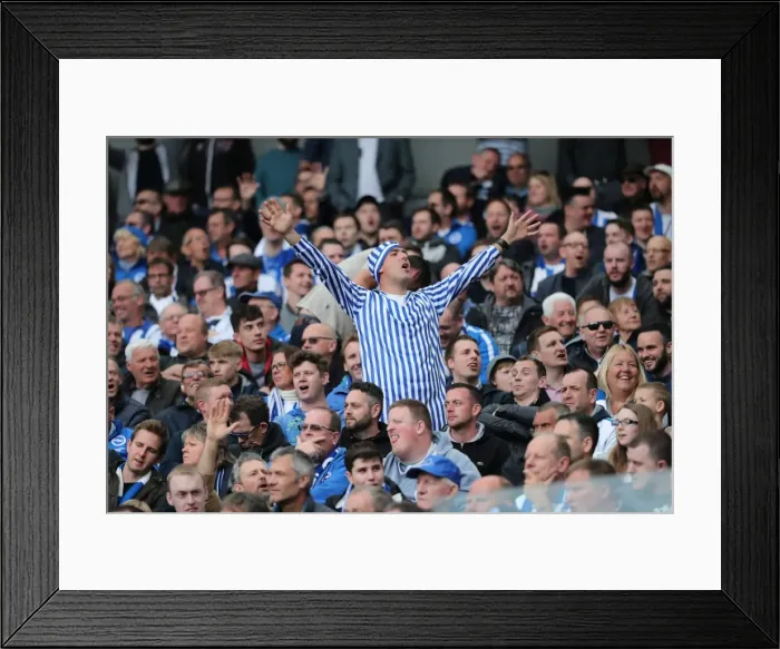 Framed Print : Brighton and Hove Albion Fans Celebrate at American Express Community Stadium during EFL Sky Bet Championship Match vs. Wigan Athletic (17APR17) Framed Print : Brighton and Hove Albion Fans Celebrate at American Express Community Stadium during EFL Sky Bet Championship Match vs. Wigan Athletic (17APR17)