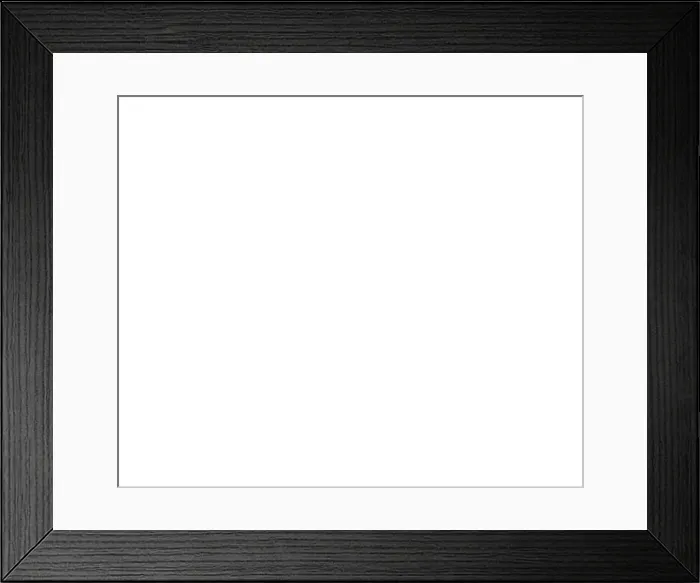 Framed Print : Brighton and Hove Albion Fans in Action: Brighton vs. Wigan Athletic, EFL Sky Bet Championship (17APR17) Framed Print : Brighton and Hove Albion Fans in Action: Brighton vs. Wigan Athletic, EFL Sky Bet Championship (17APR17)