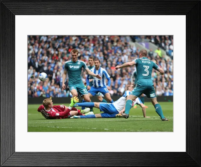 Framed Print : Brighton and Hove Albion vs. Wigan Athletic: A Fierce EFL Sky Bet Championship Showdown (17APR17) Framed Print : Brighton and Hove Albion vs. Wigan Athletic: A Fierce EFL Sky Bet Championship Showdown (17APR17)