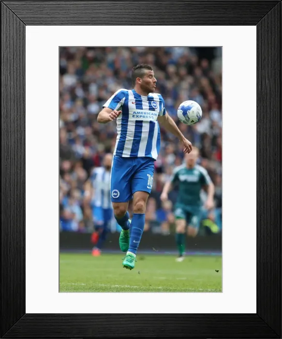 Framed Print : Brighton and Hove Albion vs. Wigan Athletic: A Fierce EFL Sky Bet Championship Clash at American Express Community Stadium (17APR17) Framed Print : Brighton and Hove Albion vs. Wigan Athletic: A Fierce EFL Sky Bet Championship Clash at American Express Community Stadium (17APR17)