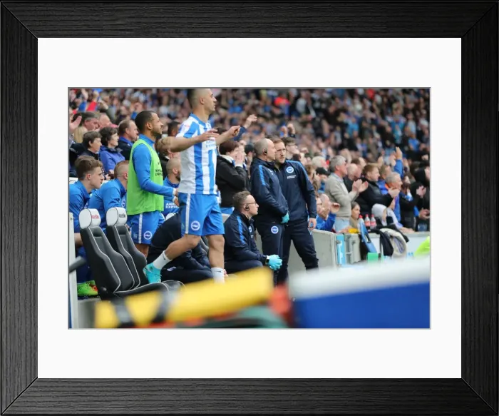 Framed Print : Brighton and Hove Albion vs. Wigan Athletic: A Tight Championship Clash at the American Express Community Stadium (17 April 2017) Framed Print : Brighton and Hove Albion vs. Wigan Athletic: A Tight Championship Clash at the American Express Community Stadium (17 April 2017)