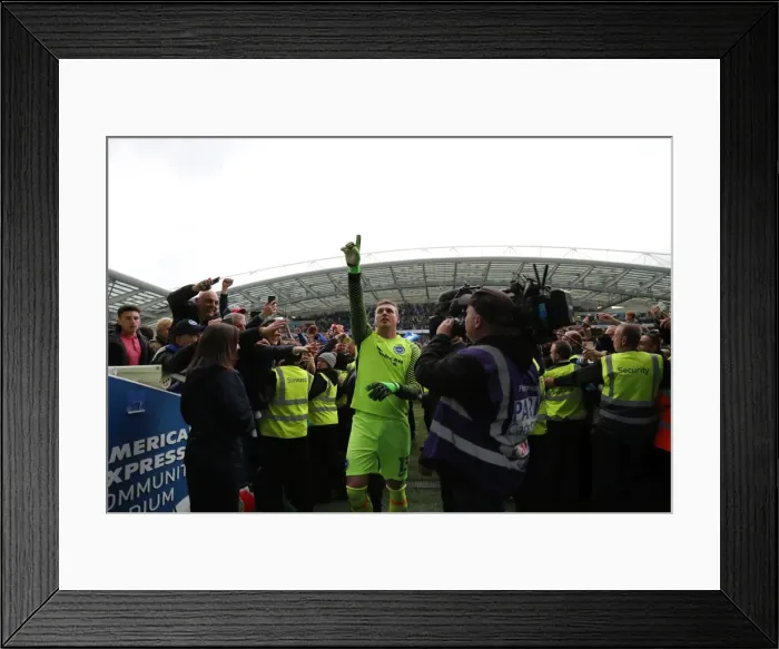 Framed Print : Brighton and Hove Albion vs. Wigan Athletic: A Tight Championship Showdown at the American Express Community Stadium (April 17, 2017) Framed Print : Brighton and Hove Albion vs. Wigan Athletic: A Tight Championship Showdown at the American Express Community Stadium (April 17, 2017)
