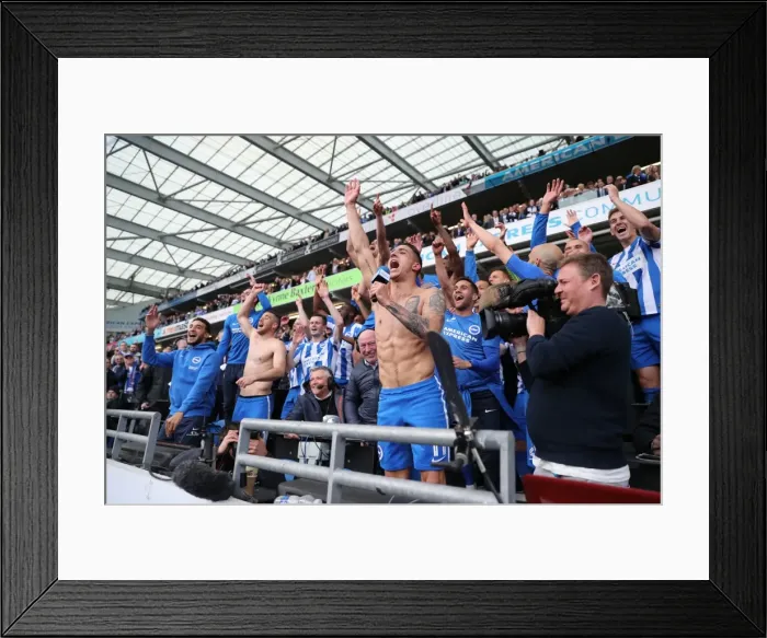 Framed Print : Brighton and Hove Albion vs. Wigan Athletic: A Fierce EFL Sky Bet Championship Clash at the American Express Community Stadium (17APR17)
