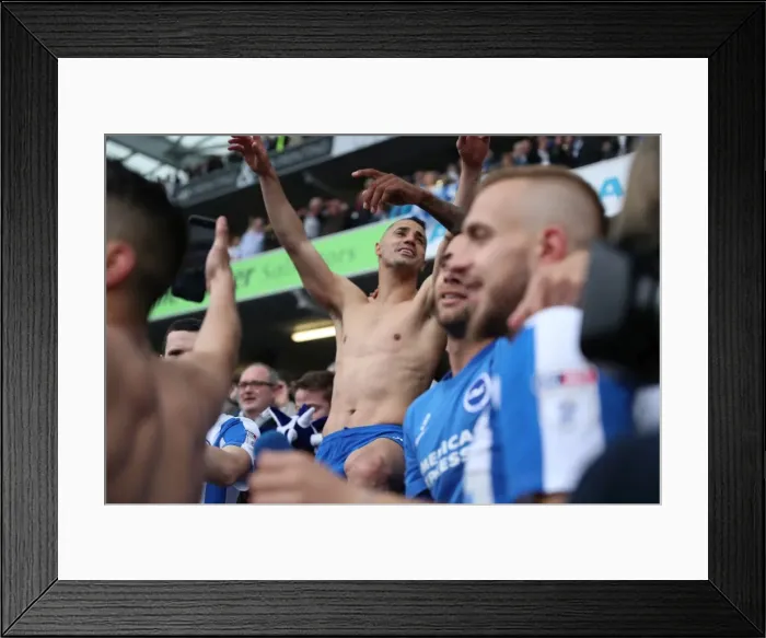 Framed Print : Brighton and Hove Albion vs. Wigan Athletic: A Fierce EFL Sky Bet Championship Clash at the American Express Community Stadium (17APR17) Framed Print : Brighton and Hove Albion vs. Wigan Athletic: A Fierce EFL Sky Bet Championship Clash at the American Express Community Stadium (17APR17)