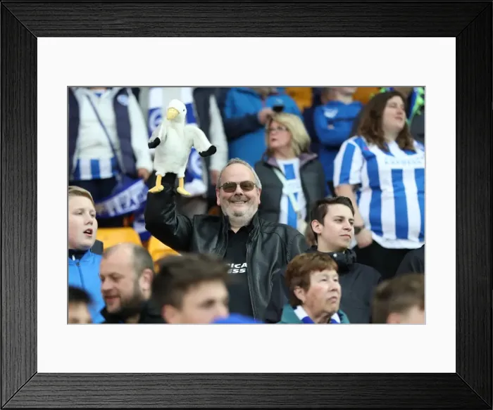 Framed Print : Brighton and Hove Albion Fans Passionate Showing at Norwich City's Carrow Road Stadium (21st April 2017) Framed Print : Brighton and Hove Albion Fans Passionate Showing at Norwich City's Carrow Road Stadium (21st April 2017)