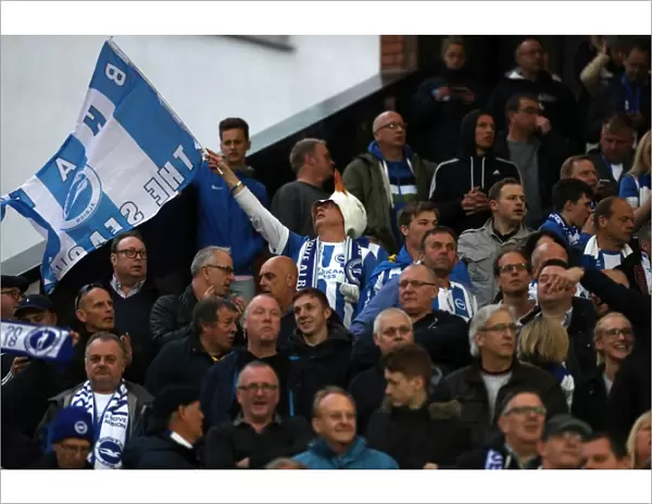 Brighton and Hove Albion Fans at Carrow Road: EFL Sky Bet Championship Showdown (April 2017)