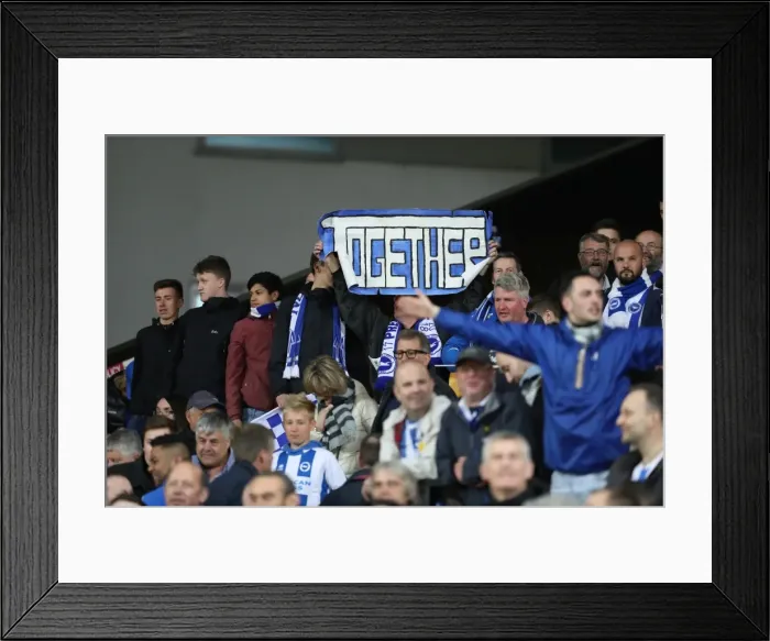 Framed Print : Brighton and Hove Albion Fans at Norwich City's Carrow Road Stadium, 21st April 2017 Framed Print : Brighton and Hove Albion Fans at Norwich City's Carrow Road Stadium, 21st April 2017