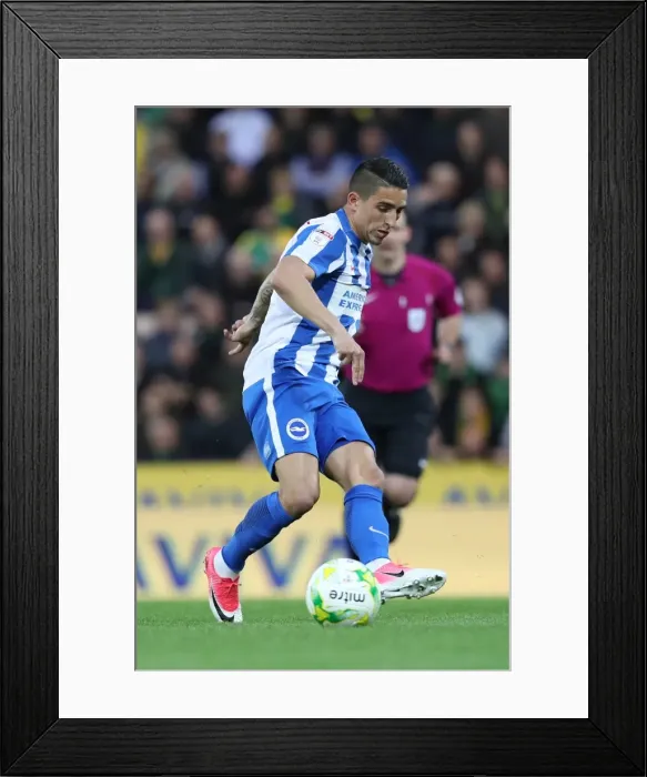 Framed Print : Thrilling EFL Sky Bet Championship Showdown: Norwich City vs. Brighton and Hove Albion at Carrow Road (21st April 2017) Framed Print : Thrilling EFL Sky Bet Championship Showdown: Norwich City vs. Brighton and Hove Albion at Carrow Road (21st April 2017)