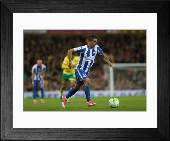 Framed Print : Clash in the Championship: Norwich City vs. Brighton and Hove Albion (21APR17) Framed Print : Clash in the Championship: Norwich City vs. Brighton and Hove Albion (21APR17)