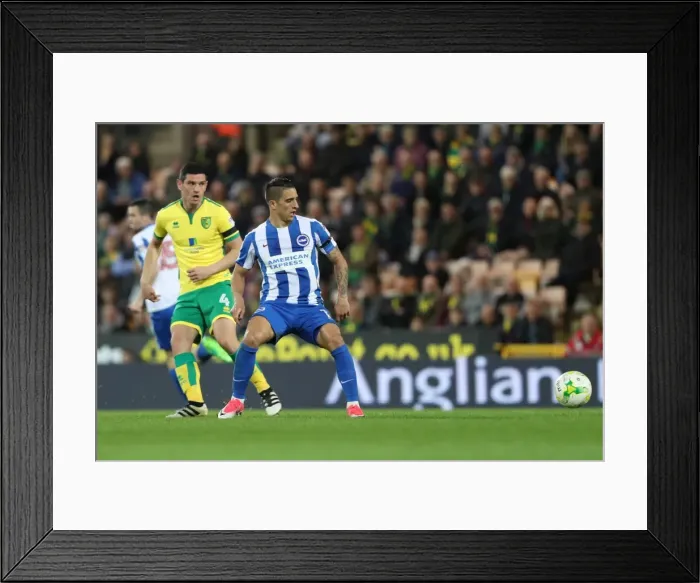 Framed Print : Intense Championship Showdown: Norwich City vs. Brighton & Hove Albion at Carrow Road (21APR17) Framed Print : Intense Championship Showdown: Norwich City vs. Brighton & Hove Albion at Carrow Road (21APR17)