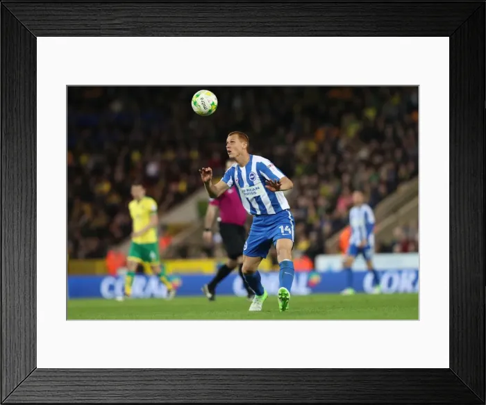 Framed Print : Championship Clash: Brighton and Hove Albion vs. Norwich City at Carrow Road (21APR17) Framed Print : Championship Clash: Brighton and Hove Albion vs. Norwich City at Carrow Road (21APR17)