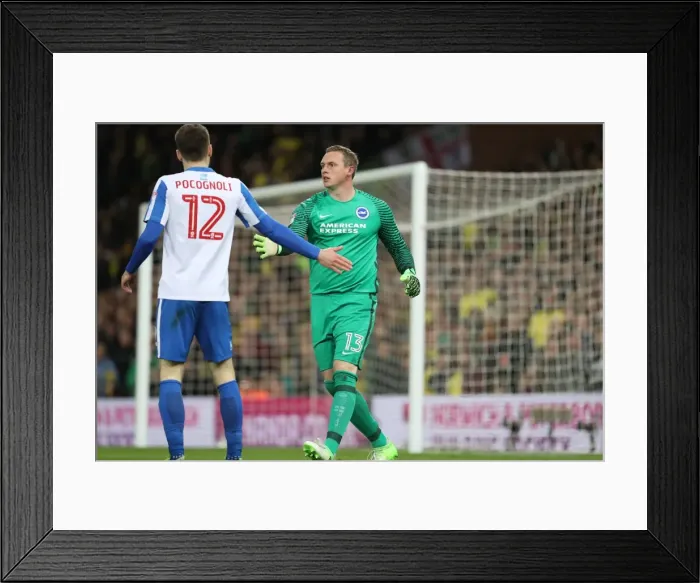 Framed Print : Tight Championship Clash: Norwich City vs. Brighton & Hove Albion at Carrow Road Stadium (21APR17) Framed Print : Tight Championship Clash: Norwich City vs. Brighton & Hove Albion at Carrow Road Stadium (21APR17)