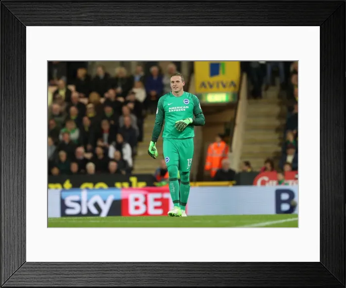 Framed Print : Championship Showdown at Carrow Road: Norwich City vs. Brighton & Hove Albion (21APR17) Framed Print : Championship Showdown at Carrow Road: Norwich City vs. Brighton & Hove Albion (21APR17)