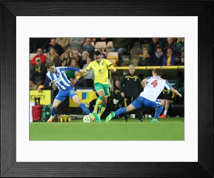 Framed Print : EFL Sky Bet Championship: Norwich City vs. Brighton and Hove Albion Clash at Carrow Road (21APR17) Framed Print : EFL Sky Bet Championship: Norwich City vs. Brighton and Hove Albion Clash at Carrow Road (21APR17)