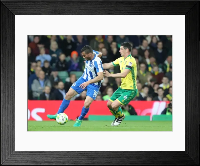 Framed Print : Intense Championship Showdown: Norwich City vs. Brighton and Hove Albion at Carrow Road (21APR17) Framed Print : Intense Championship Showdown: Norwich City vs. Brighton and Hove Albion at Carrow Road (21APR17)