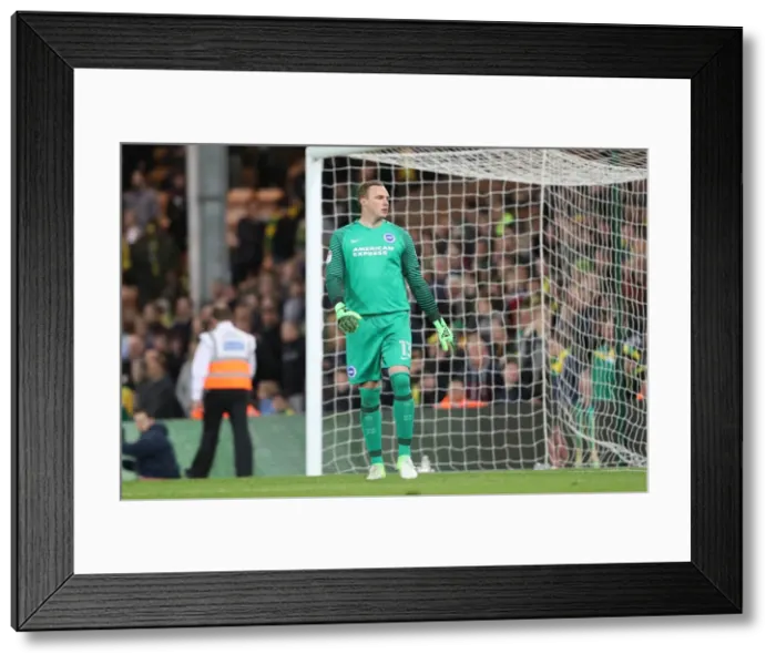 Framed Print : Championship Showdown at Carrow Road: Norwich City vs. Brighton & Hove Albion (21APR17) Framed Print : Championship Showdown at Carrow Road: Norwich City vs. Brighton & Hove Albion (21APR17)