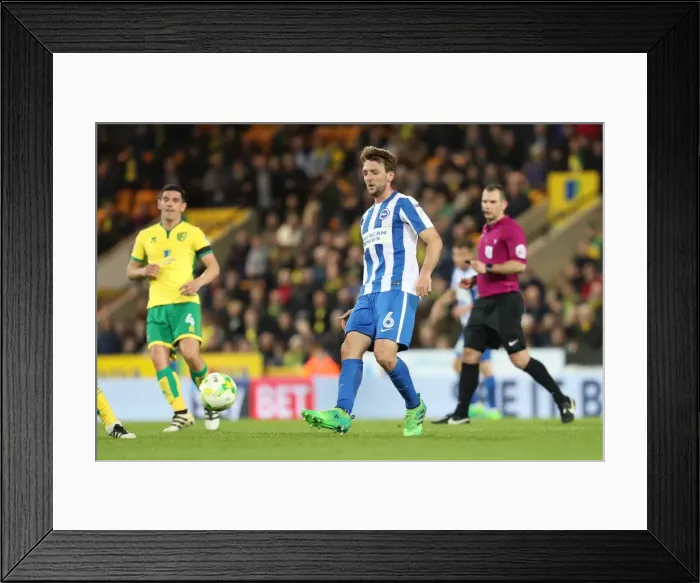 Framed Print : Intense Championship Showdown: Norwich City vs. Brighton & Hove Albion at Carrow Road (21APR17) Framed Print : Intense Championship Showdown: Norwich City vs. Brighton & Hove Albion at Carrow Road (21APR17)