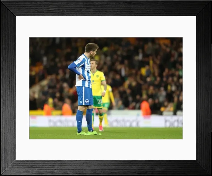 Framed Print : Norwich City vs. Brighton and Hove Albion: A Championship Showdown at Carrow Road (21APR17) Framed Print : Norwich City vs. Brighton and Hove Albion: A Championship Showdown at Carrow Road (21APR17)