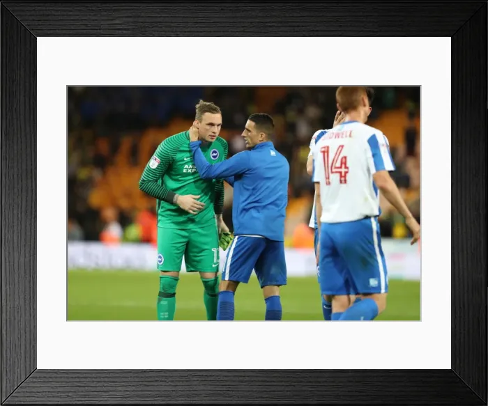 Framed Print : Brighton and Hove Albion vs. Norwich City: Intense Championship Clash at Carrow Road (21APR17) Framed Print : Brighton and Hove Albion vs. Norwich City: Intense Championship Clash at Carrow Road (21APR17)