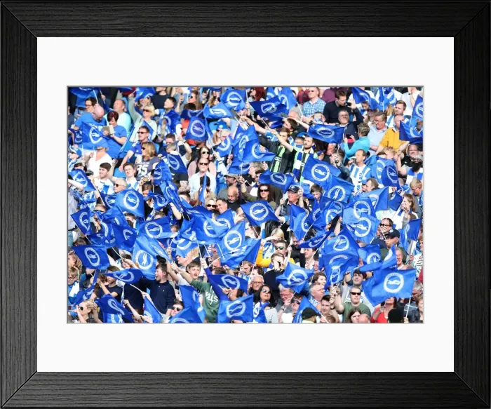 Framed Print : Intense Championship Showdown: Brighton and Hove Albion vs. Bristol City (29APR17) Framed Print : Intense Championship Showdown: Brighton and Hove Albion vs. Bristol City (29APR17)