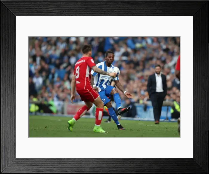 Framed Print : Gaetan Bong in Action: Brighton & Hove Albion vs. Bristol City (29APR17) Framed Print : Gaetan Bong in Action: Brighton & Hove Albion vs. Bristol City (29APR17)