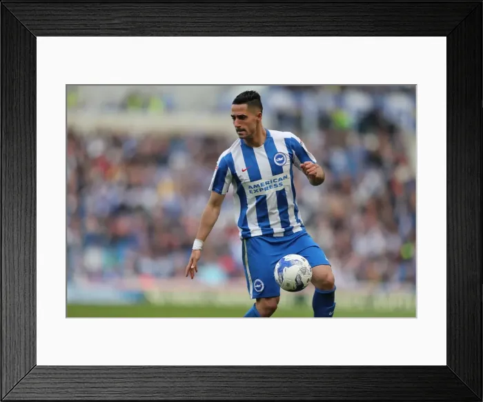 Framed Print : Beram Kayal in Action: Brighton & Hove Albion vs. Bristol City, EFL Sky Bet Championship (29th April 2017) Framed Print : Beram Kayal in Action: Brighton & Hove Albion vs. Bristol City, EFL Sky Bet Championship (29th April 2017)