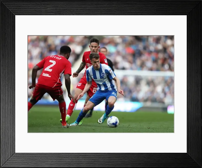 Framed Print : Solly March in Action: Brighton & Hove Albion vs. Bristol City (29APR17) Framed Print : Solly March in Action: Brighton & Hove Albion vs. Bristol City (29APR17)