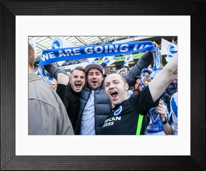 Framed Print : Brighton and Hove Albion Fans Celebrate at American Express Community Stadium during EFL Sky Bet Championship Match vs. Bristol City (29APR17)