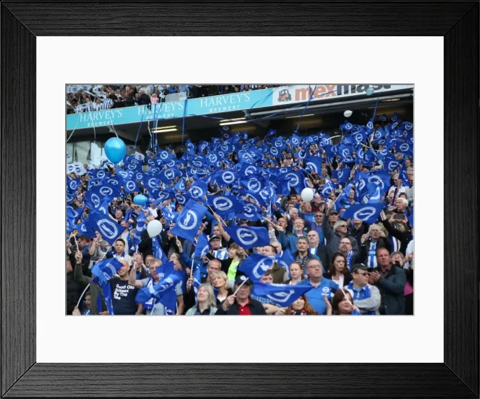 Framed Print : Brighton and Hove Albion Fans Celebrate Promotion to Premier League at American Express Community Stadium (29APR17)