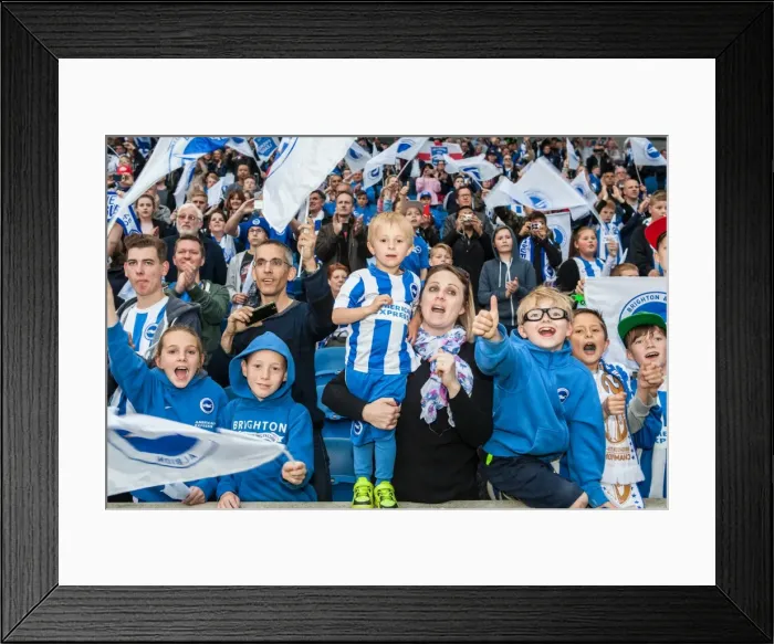 Framed Print : Brighton and Hove Albion Fans in Action during the EFL Sky Bet Championship Match vs. Bristol City (29APR17)