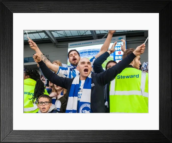 Framed Print : Passionate Brighton and Hove Albion Fans in Action during EFL Sky Bet Championship Match vs. Bristol City (29 April 2017)