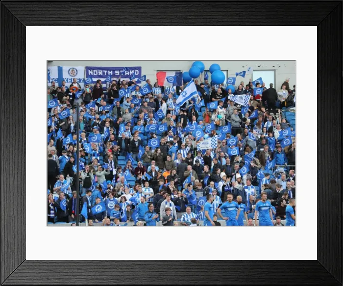 Framed Print : Thrilling EFL Sky Bet Championship Showdown: Brighton & Hove Albion vs. Bristol City (29APR17) Framed Print : Thrilling EFL Sky Bet Championship Showdown: Brighton & Hove Albion vs. Bristol City (29APR17)