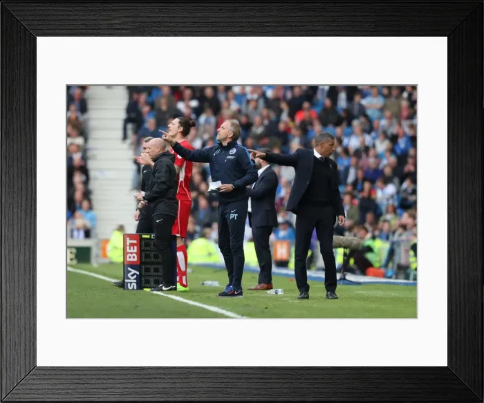 Framed Print : Thrilling EFL Sky Bet Championship Showdown: Brighton & Hove Albion vs. Bristol City (29APR17) Framed Print : Thrilling EFL Sky Bet Championship Showdown: Brighton & Hove Albion vs. Bristol City (29APR17)