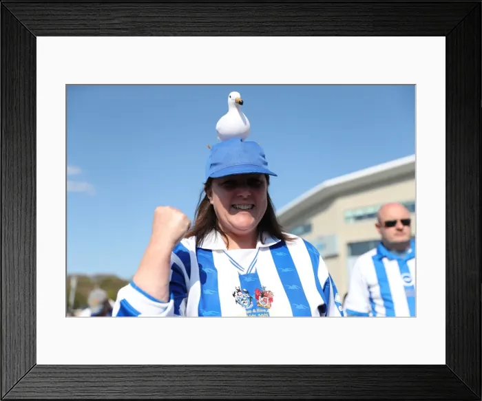 Framed Print : Thrilling EFL Sky Bet Championship Showdown: Brighton & Hove Albion vs. Bristol City (29APR17) Framed Print : Thrilling EFL Sky Bet Championship Showdown: Brighton & Hove Albion vs. Bristol City (29APR17)